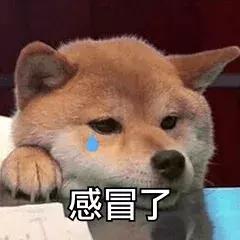 教你用最低价买齐初秋开学装备！！分分钟省下100000元