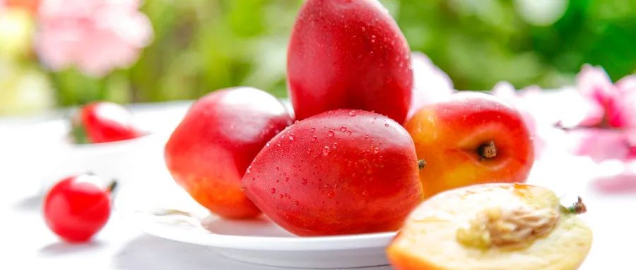 脆桃和硬桃,脆桃和软桃的区别是什么