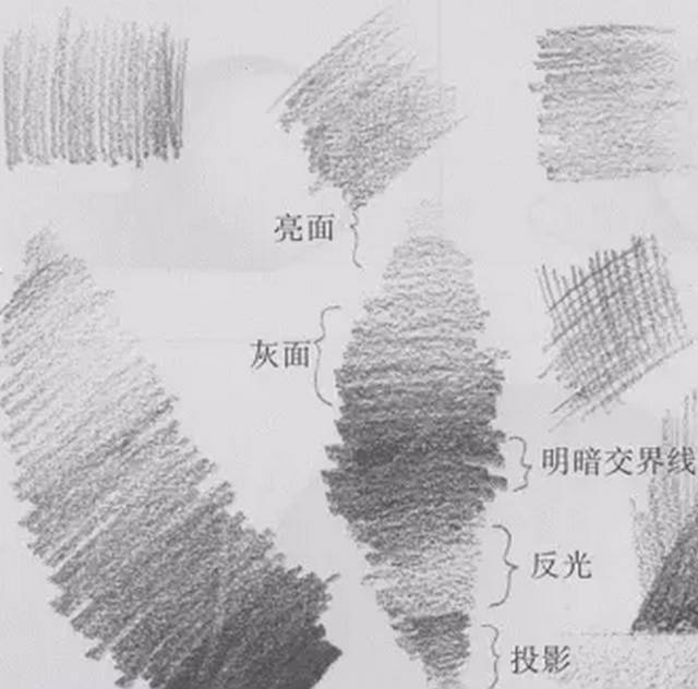 素描衬布的画法和步骤,你掌握了平面图的绘画方法了吗