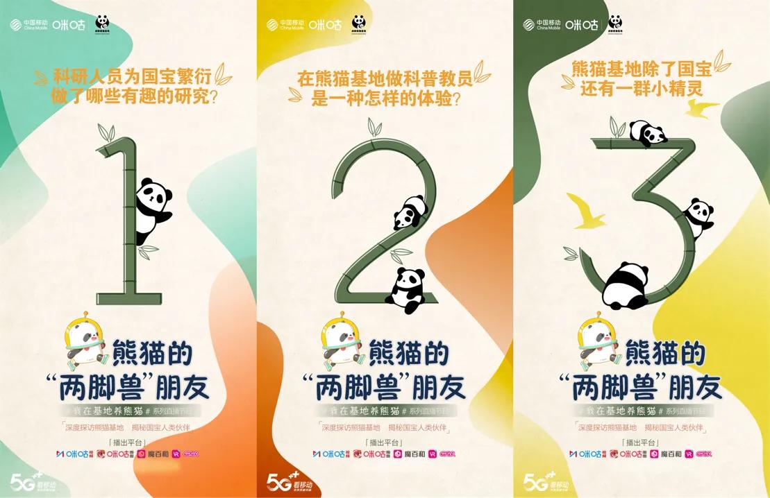 大熊猫繁育基地接触熊猫,熊猫饲养员照顾熊猫的真实感受