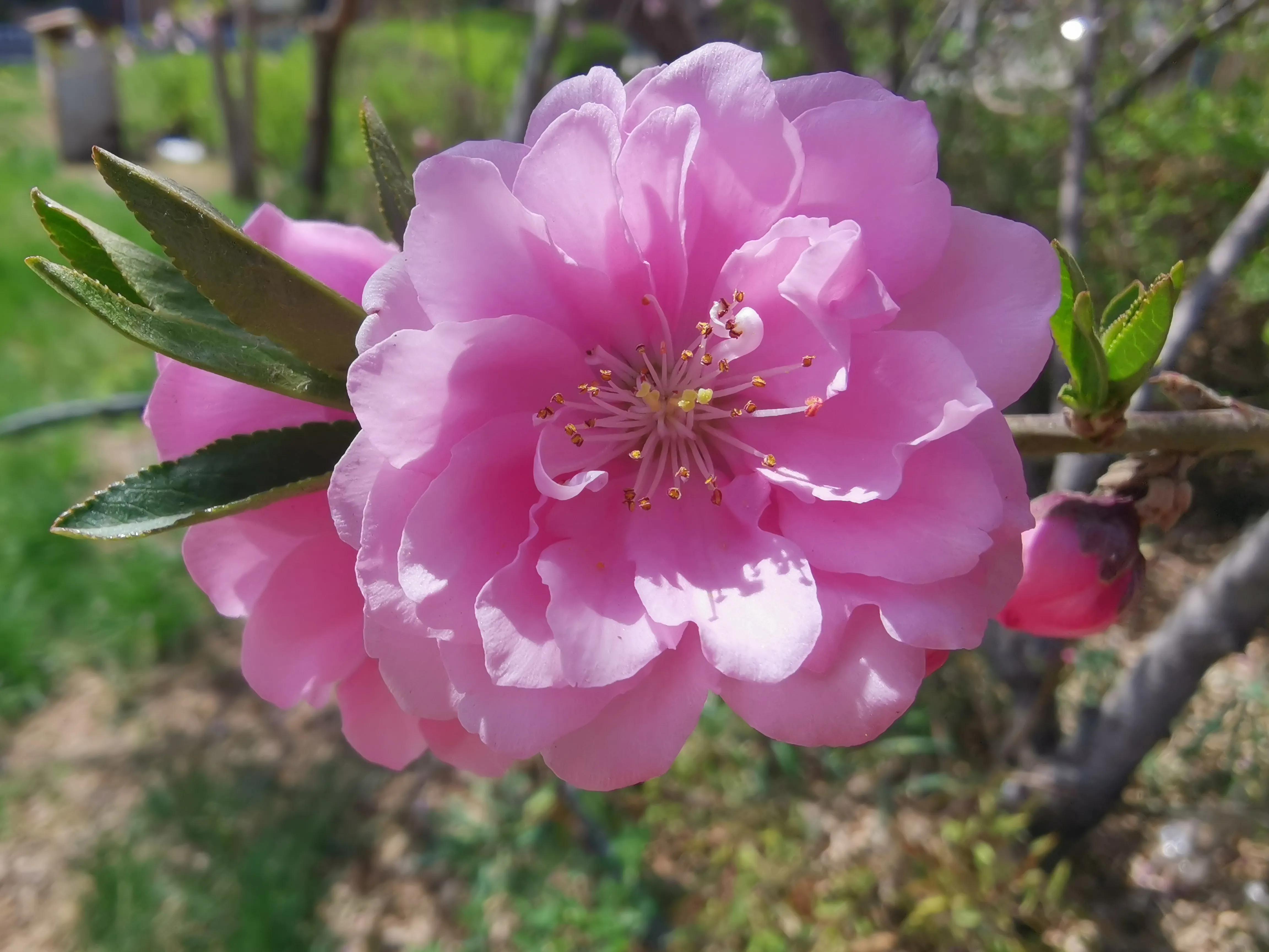 记忆模糊的三年,记忆回到三年前