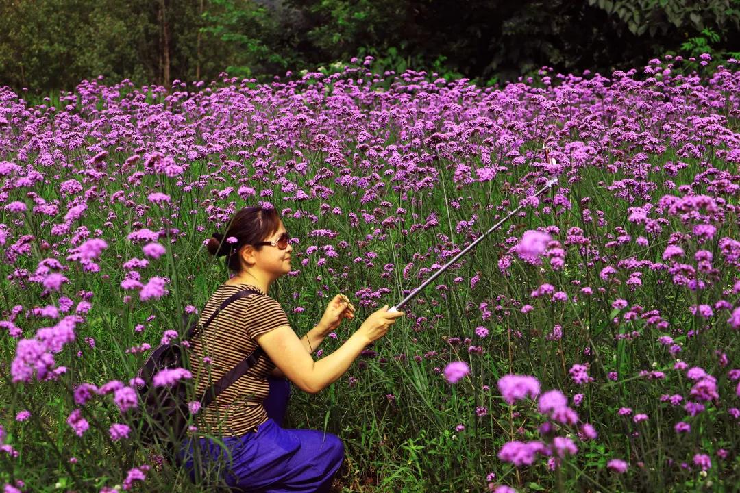 搞快点是哪里方言,搞快点
