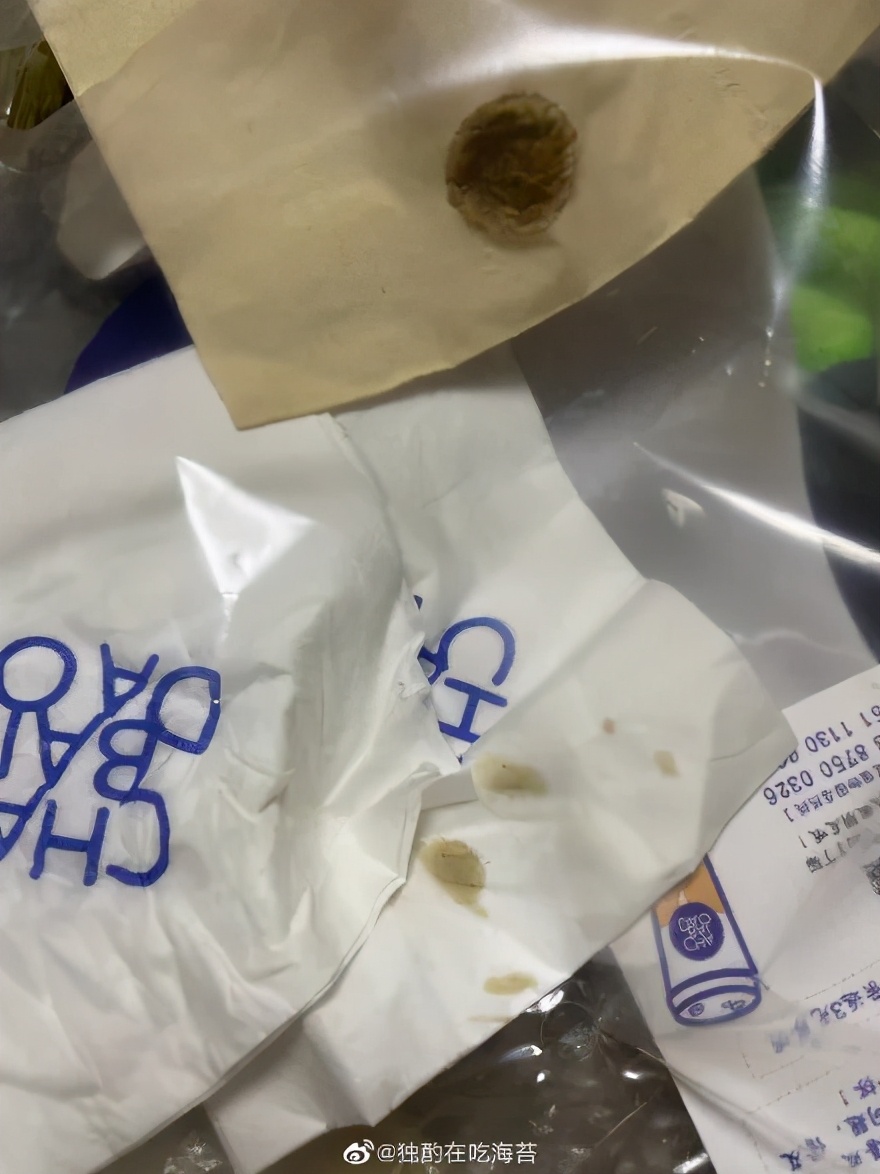 “我半夜不小心摸了猫的肛门腺，被臭到当场裂开！”