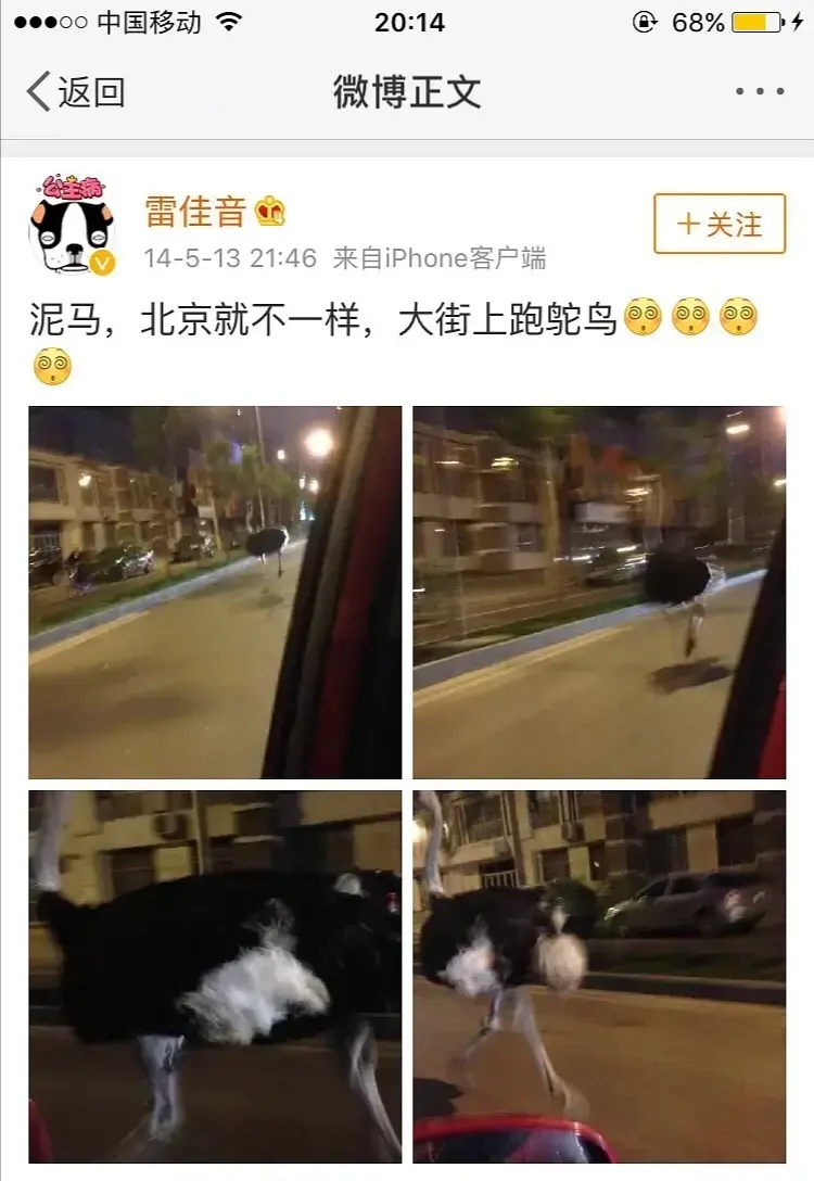 当热搜不再是明星的时候,当热搜不再是娱乐新闻