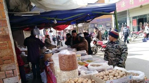 怎样挑选出坏的瓜子,怎么挑选瓜子最好方法