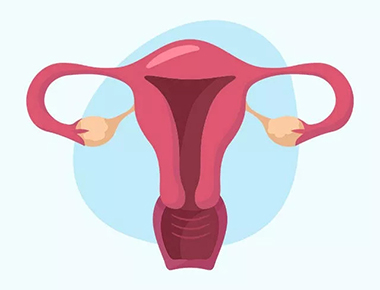 试管取完卵后是不是以后就没卵了,试管取完卵当月不能移植怎么办