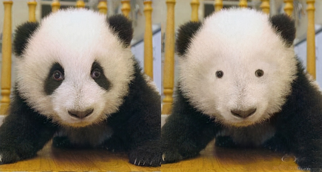 对付黑眼圈最好用的眼霜,真正对黑眼圈有用的眼霜