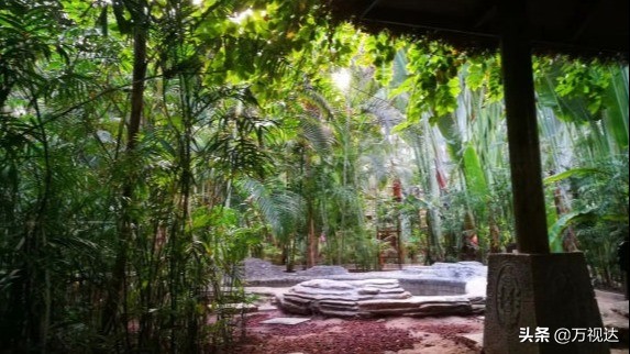 2021天津泡温泉的地方,冬天天津温泉排行榜前十名