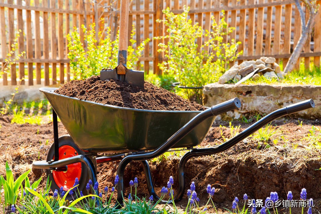 适合农村创业小项目有哪些,适合农村创业的小项目有哪些啊