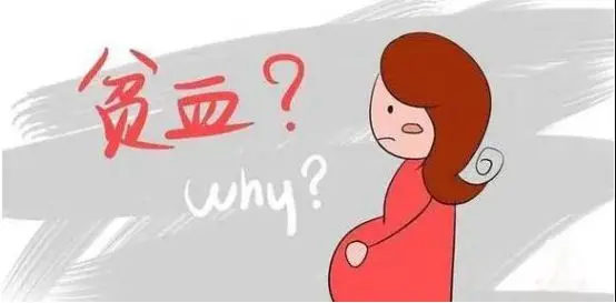 缺铁性贫血吃什么食物含铁高,孕期贫血补铁食物