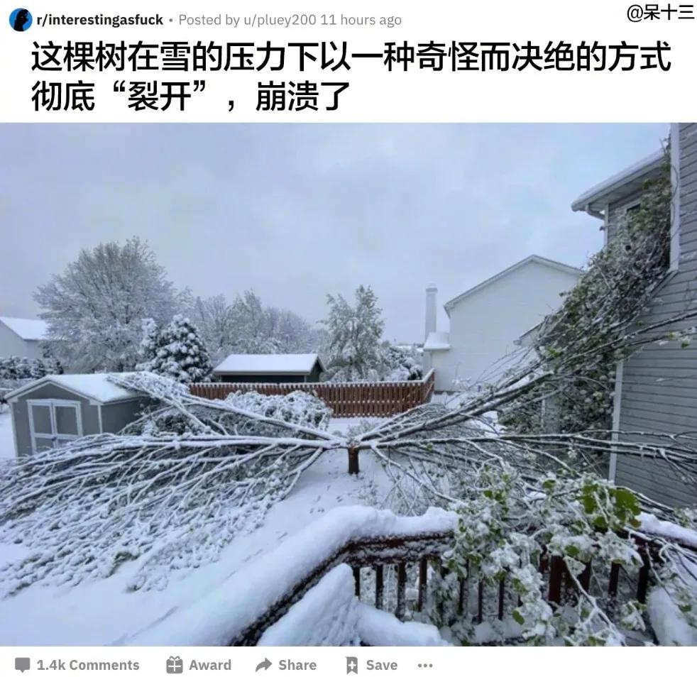 瀛︽牎涓轰簡鐪侀挶闄よ崏,瀛︽牎涓轰簡闄よ崏涓嶈姳閽卞吇浜嗕袱鍙緤