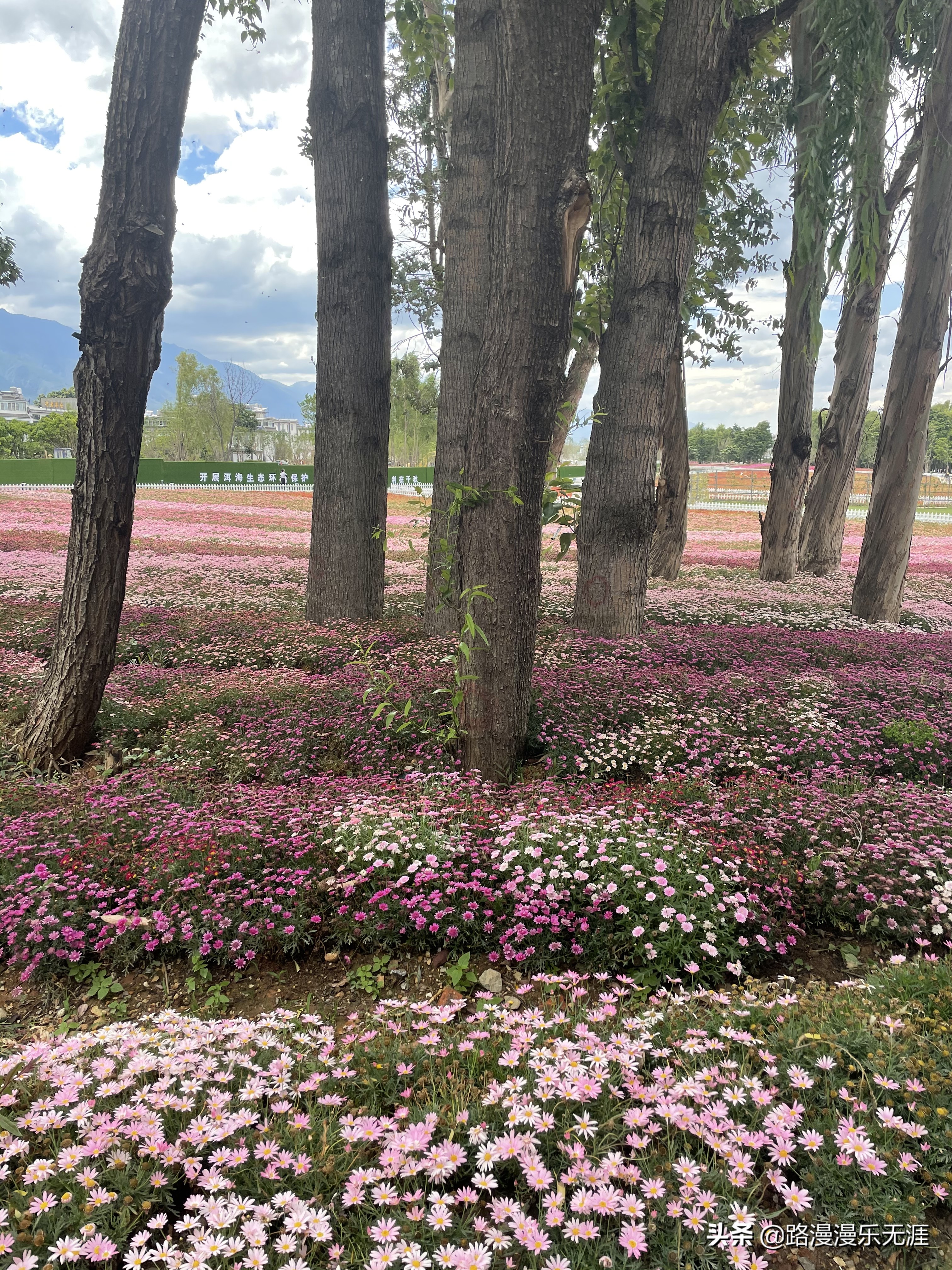 大理洱海8个打卡地,大理洱海畔旅游攻略
