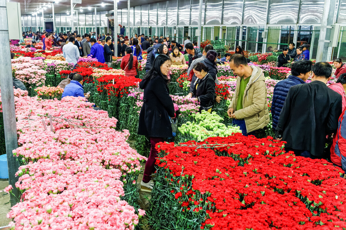 昆明市内游玩好去处 (云南昆明最值得玩的地方)