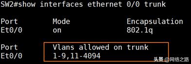 vlanallowed原理,trunk允许几个vlan通过