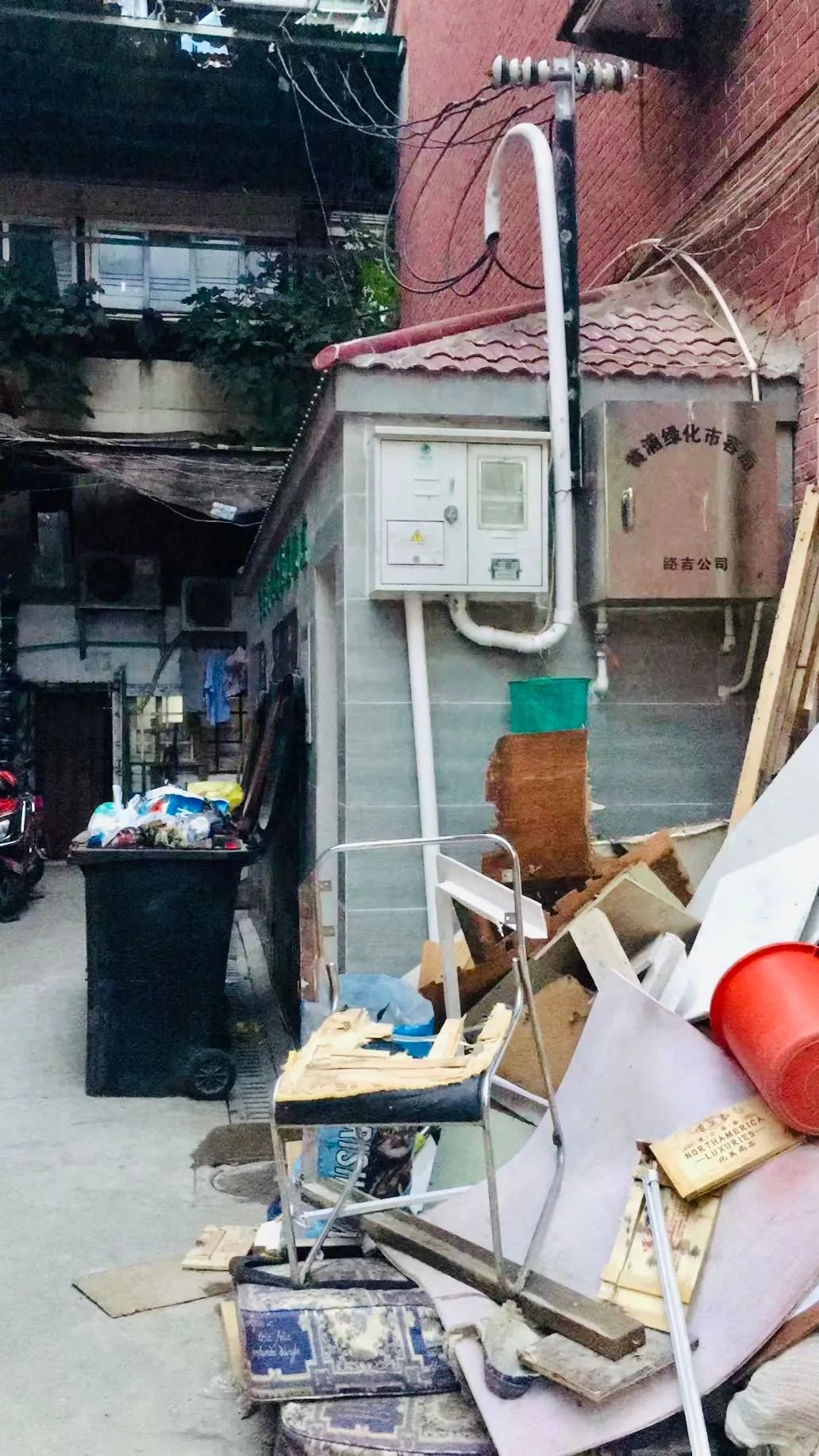 毛孩子散步回家,毛孩子去新家从此不再流浪