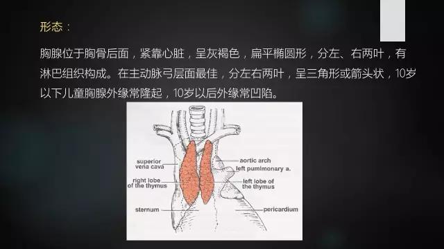 前上纵隔高密度影考虑胸腺未退化,肺纵隔胸腺结节12mm看什么科