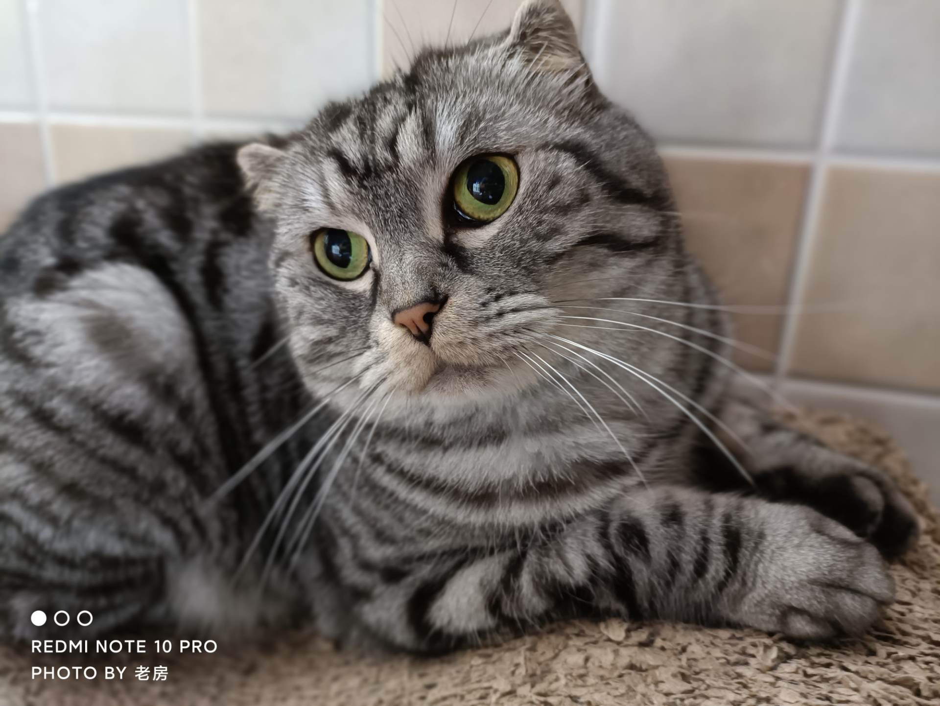 redminote9pro和note10pro,redminote10pro原神测评