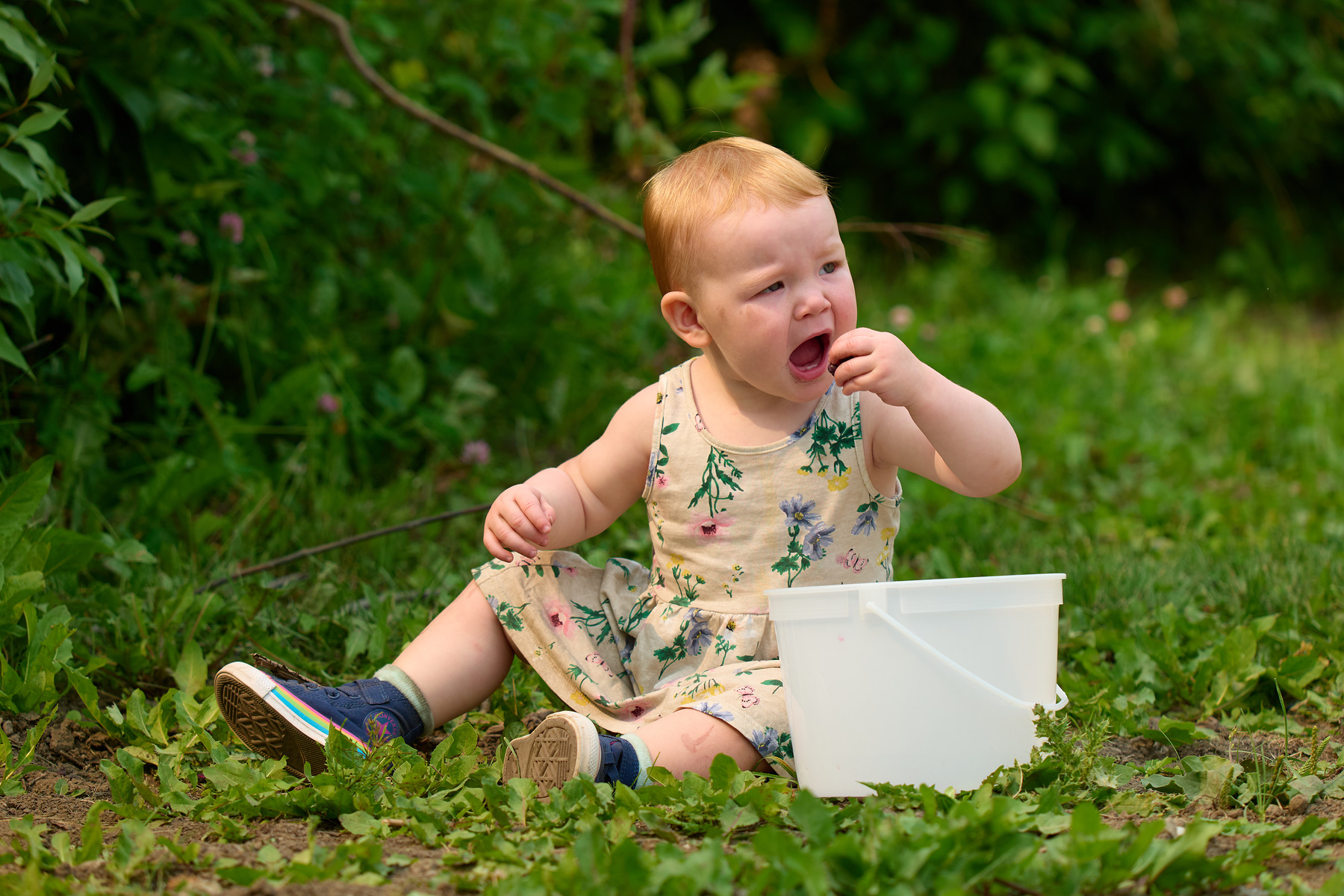 适马sigma60-600mm拍月亮,适马sigma18-50mmf2.8dcdn测评