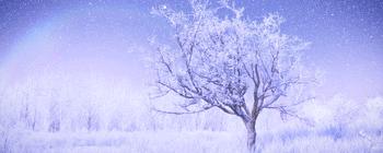 「新闻资讯」小米CC昨晚发布，比邻优选官网价现货发售，顺丰包邮