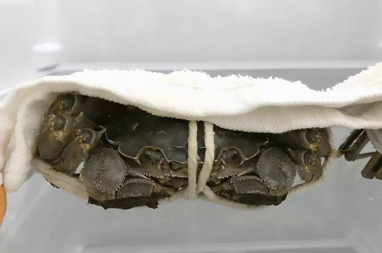 螃蟹买回来吃不完怎么存放,买回来的螃蟹暂时不想吃怎样保鲜