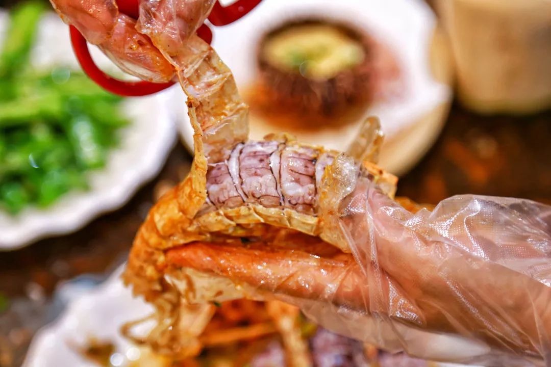 城市酒店好还是民宿好,度假酒店与城市酒店