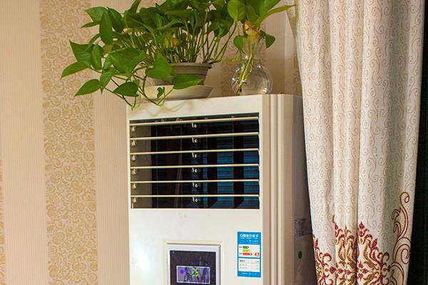 阴阳两虚是先补阴还是同时补,阴阳两虚吃什么药先补阴再补阳