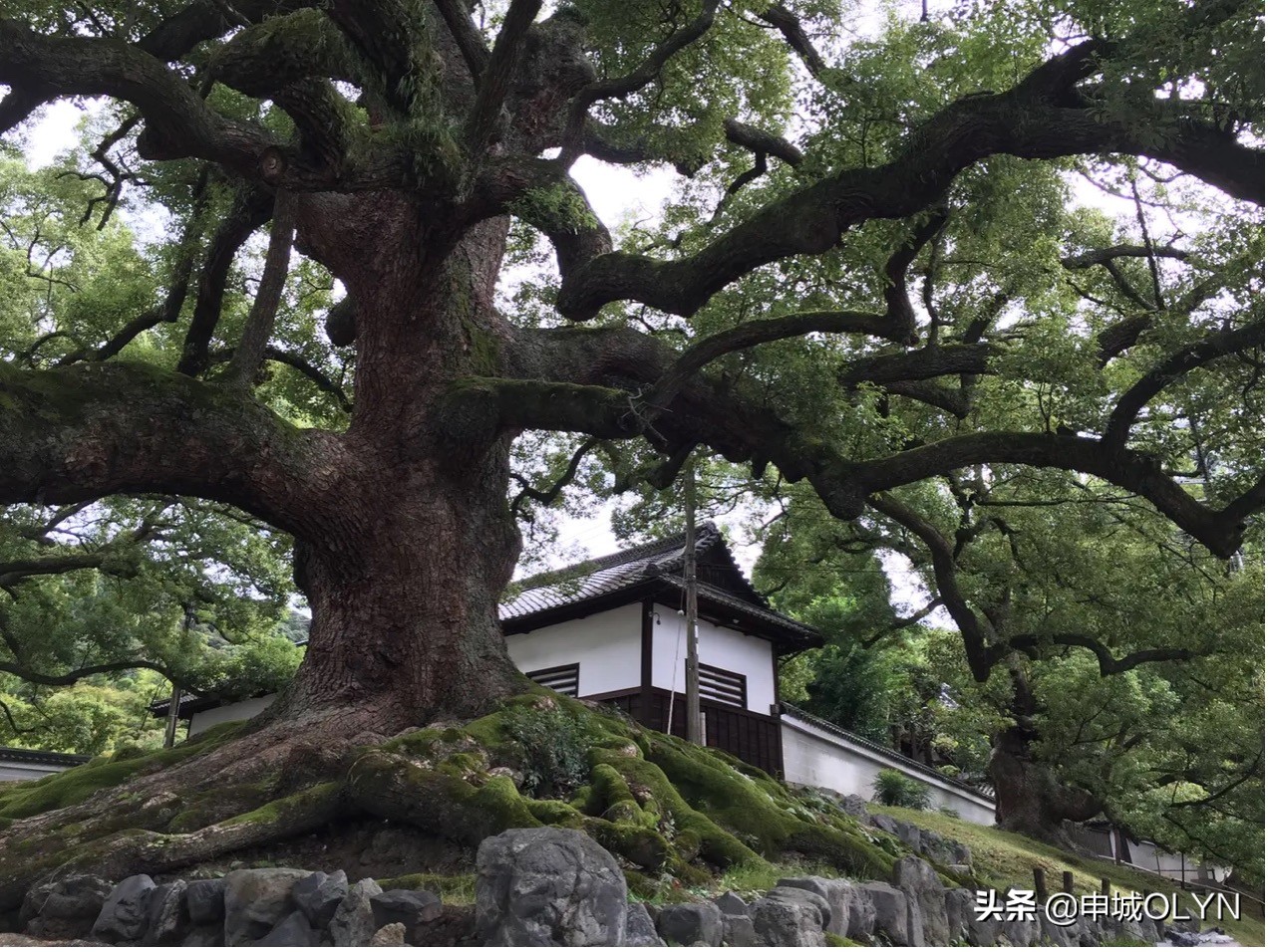 日本冲绳三年旅游签证办理攻略,日本单次旅游签证冲绳