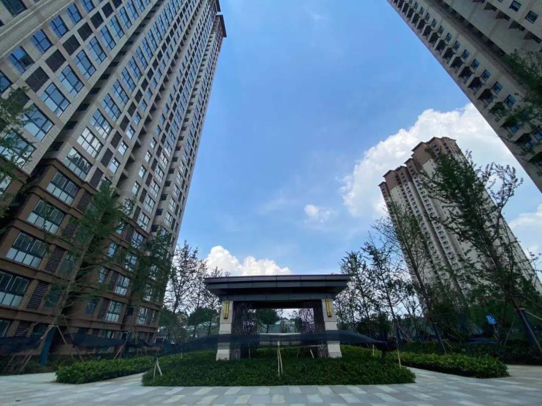 高科，与城市共生长的“城市赋能者”