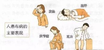 人畜共患病布病,人畜共患病布病防控措施