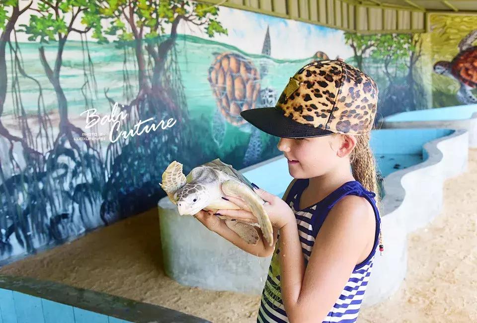 999玩转巴厘究竟嗨不嗨:香遇巴厘,南太平洋的风与海