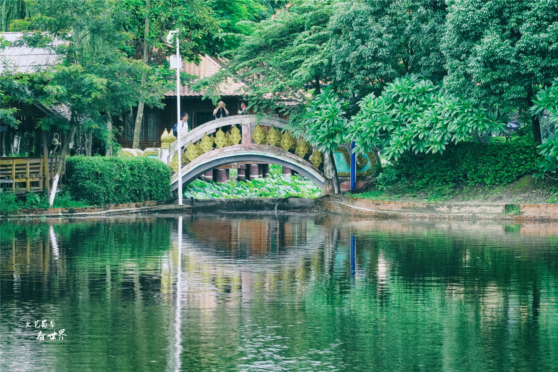 云南比大理丽江还适合养老的地方,云南冬天最适合养老的地方是哪里