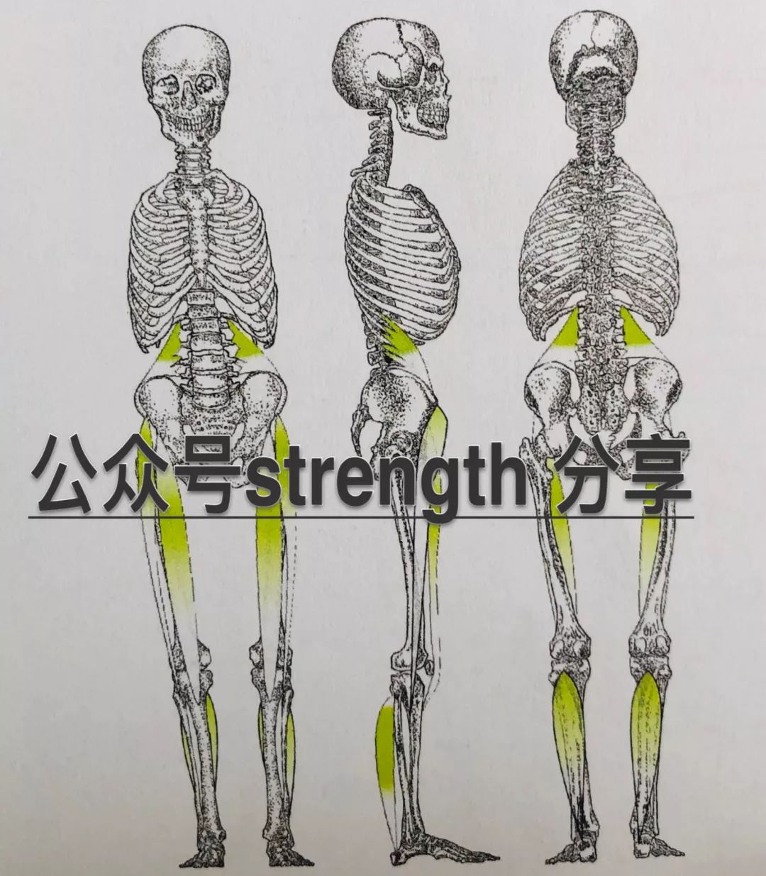 下背痛是什么原因引起的,背疼腰疼是什么病的前兆