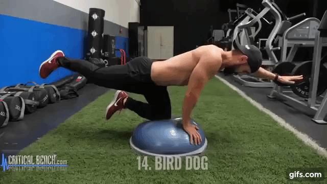 平衡训练半球型,波速球稳定性练习