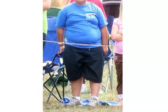 如何减掉胸部脂肪男性,男生胸部脂肪堆积什么样的