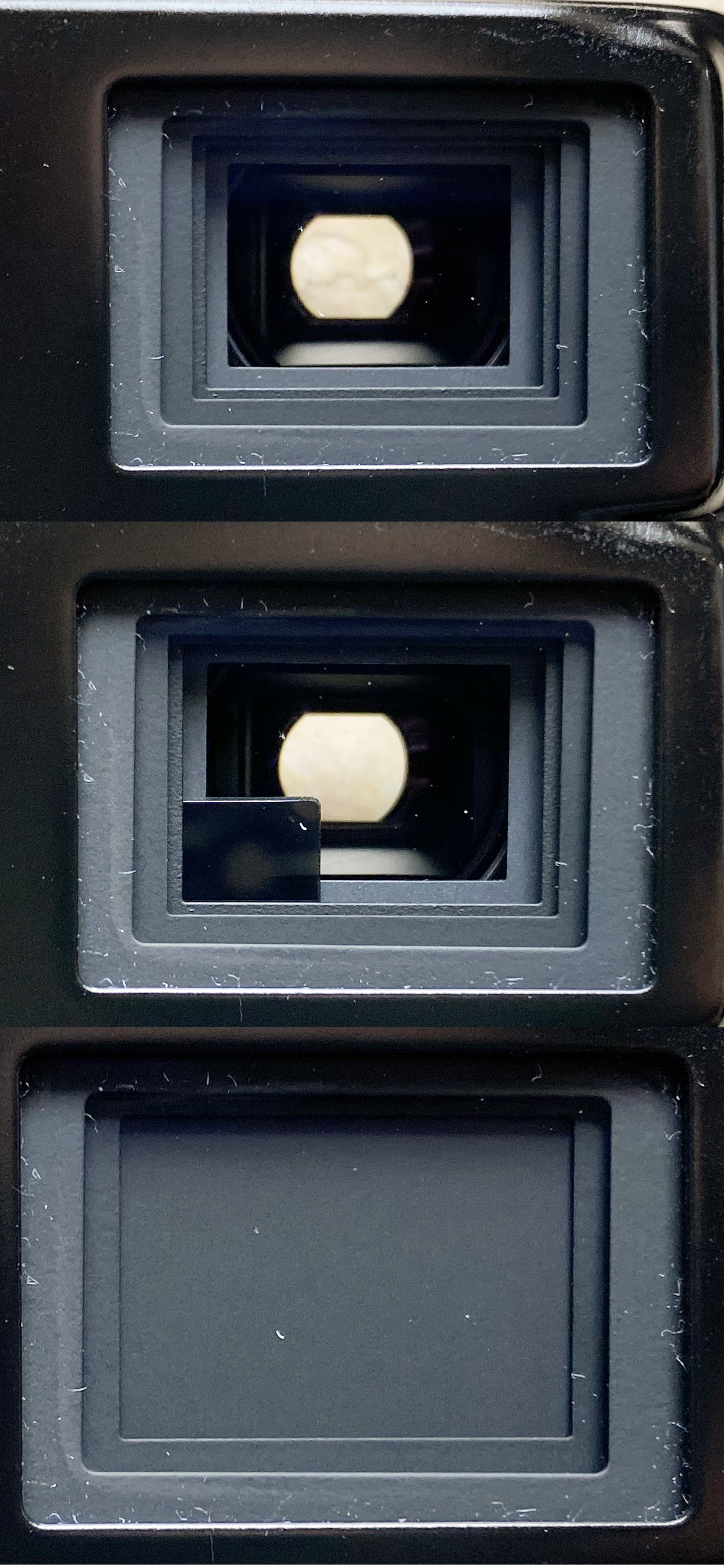 当摄影与它相遇生活变得超有趣,当摄影遇上插画萌萌哒创意摄影