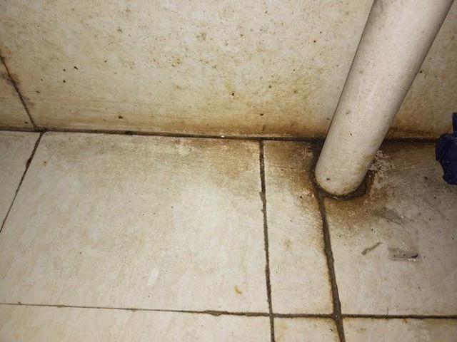 自己找的美缝师傅做的一塌糊涂,找美缝师傅美完缝收拾家吗