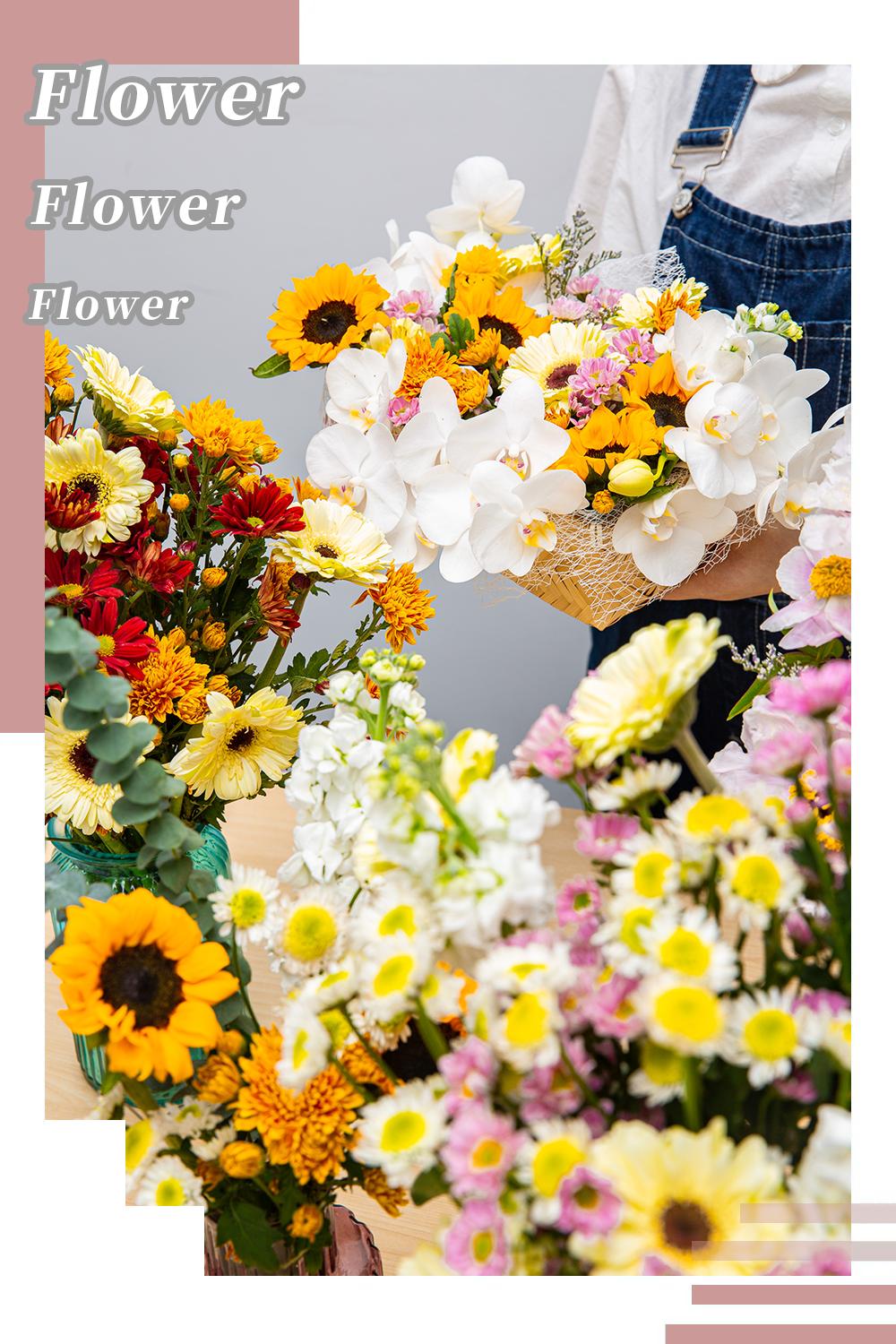 广州最便宜的花卉市场1块钱,广州岭南花卉市场买花攻略