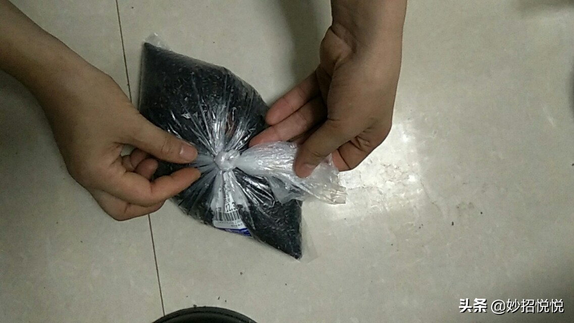 家里五谷杂粮长虫子还能放屋里吗,五谷杂粮有虫子怎么办