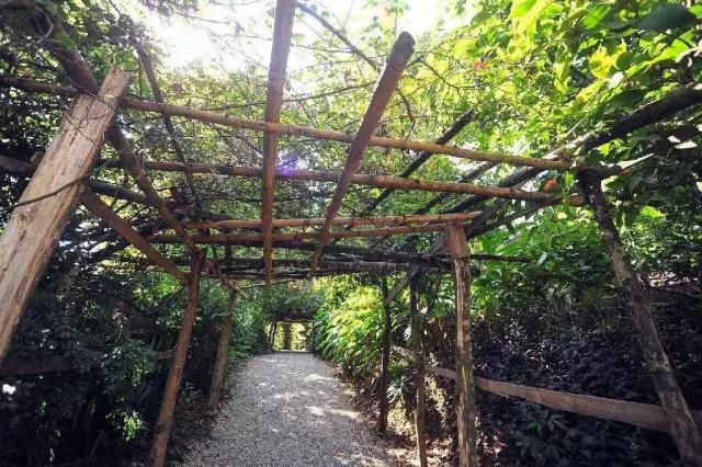 西双版纳13大旅游度假酒店，高品质，家庭出游最佳选择#版纳旅游