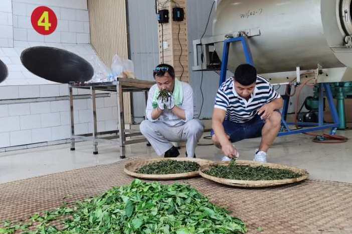 浜戝崡涓尪鑼朵笟鏈夐檺鍏徃鏂伴椈,浜戝崡涓尪鑼朵笟鏈夐檺鍏徃鐢熶骇鍩哄湴