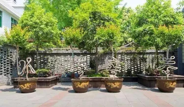 涔愬姩鑺辨捣,涔愬姩鑺辨捣宕囧窞