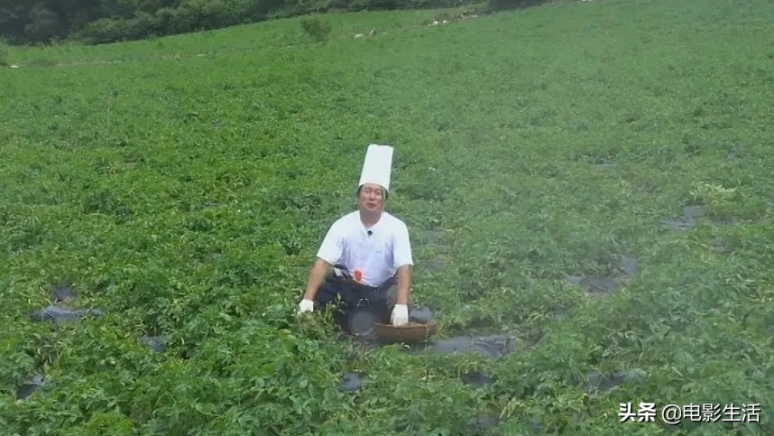 罗pd的综艺推荐,罗pd的治愈系综艺