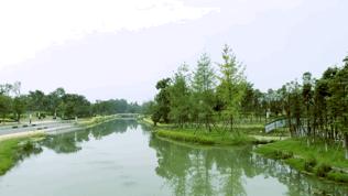 打围了啷个久的五湖四海有新动作！家门口又一个大型公园即将开放