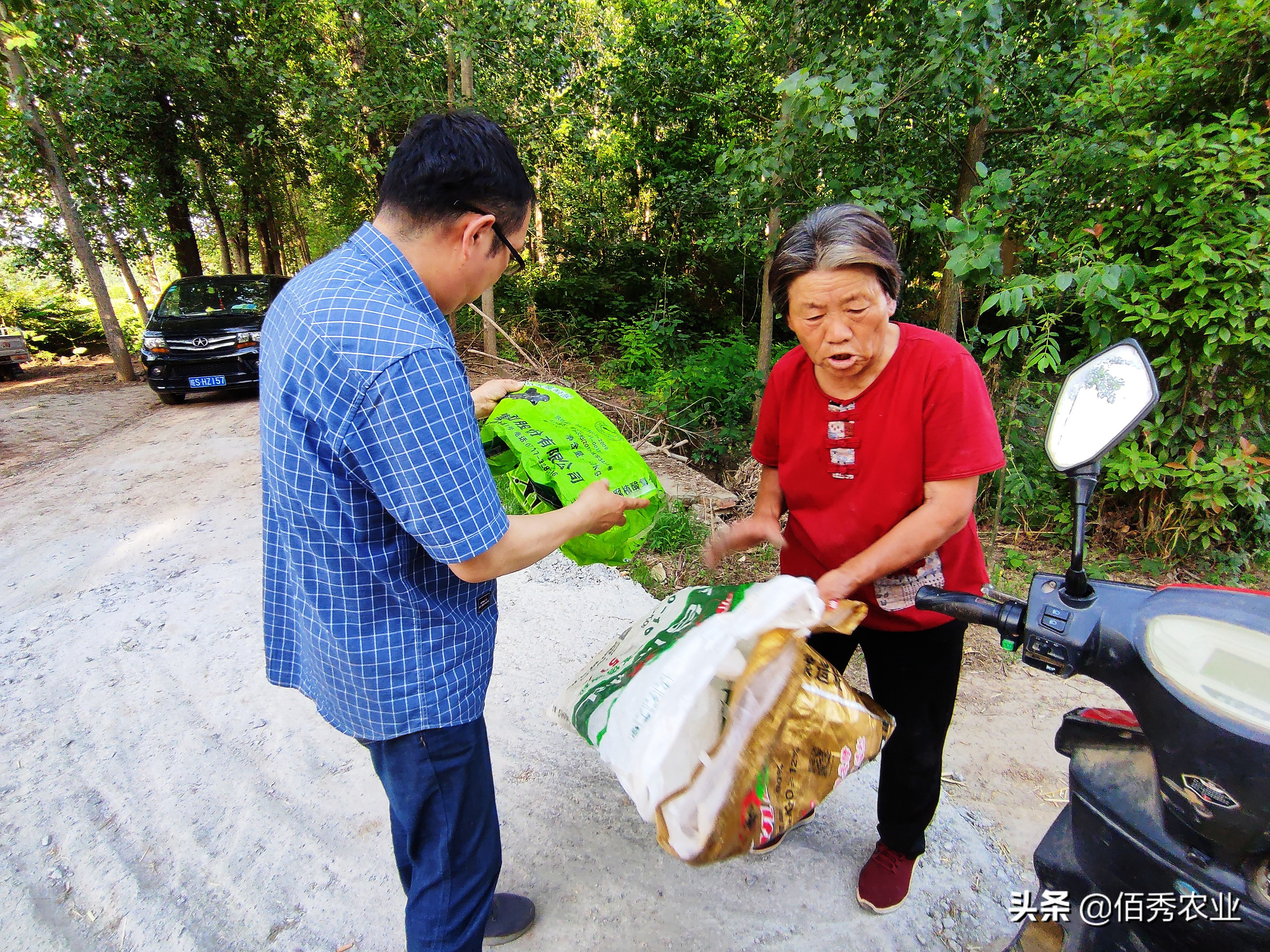 种玉米施哪种肥料不影响种子,农民种麦子玉米每亩挣多少钱