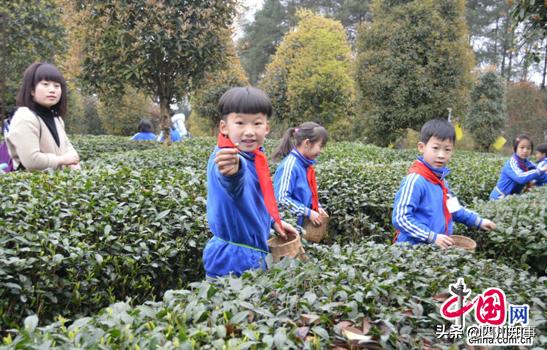 “百花齐放梅为首，千舟竞渡看头帆”四川蒲江教育写意