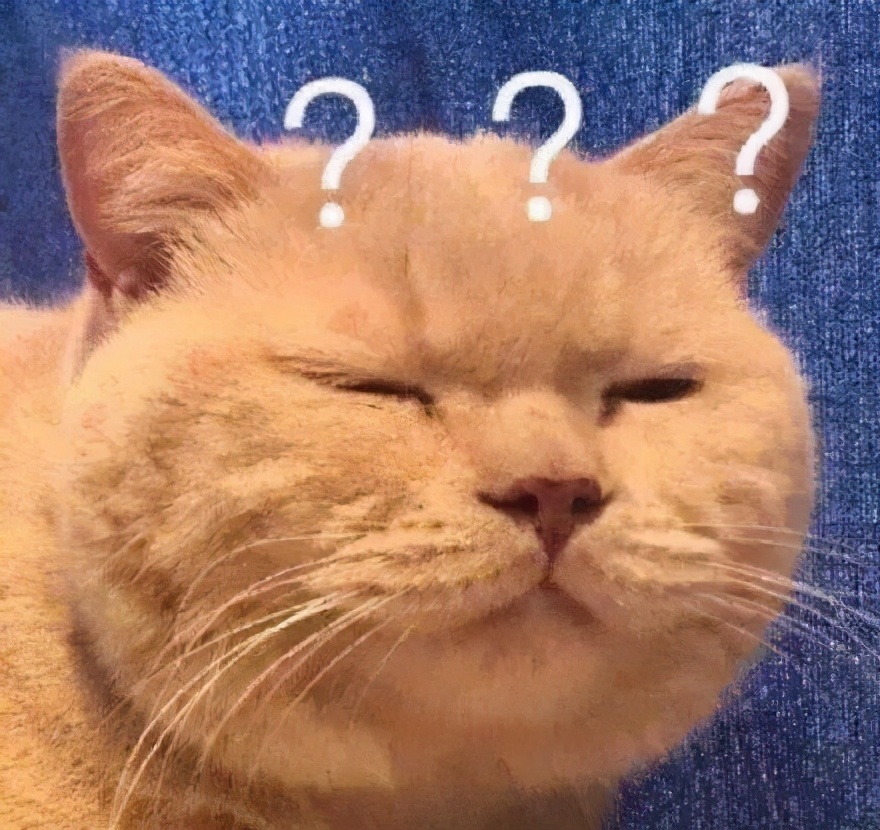 孔子穿啥鞋,孔子脚穿多大鞋