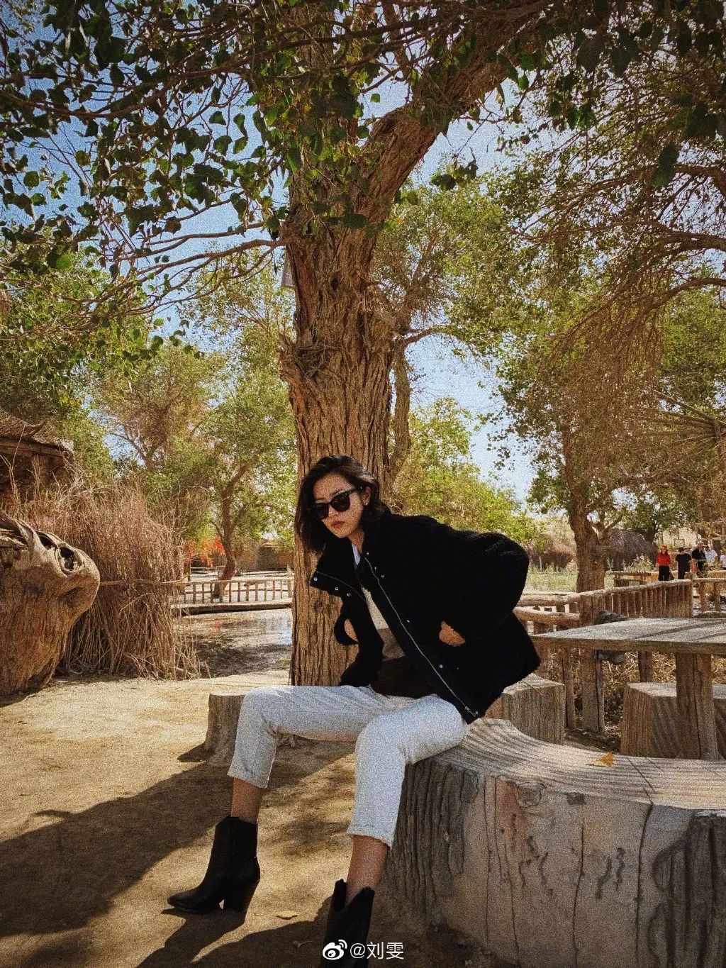 业内人士评价刘雯,刘雯到底有多难