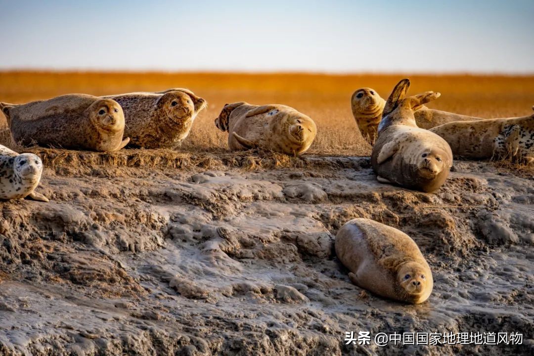 东北的门户图片,东北门户是什么地方