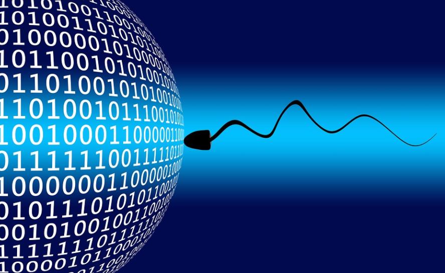 鑻卞浗濂冲瓙缃戜笂璐拱閽堢瓛,閽堢瓛浜哄伐鎺堢簿