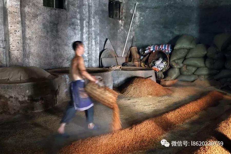 冒着严寒做酒的辛酸，只有酿酒工的才知道！